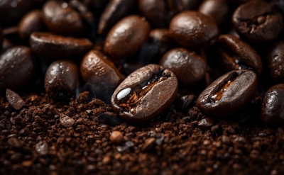 Coffee CO2 Extract Organic